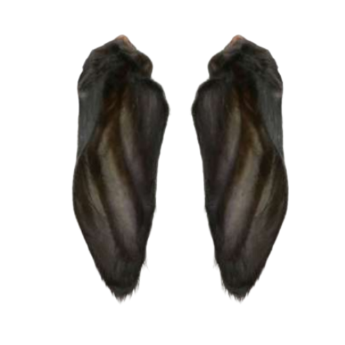 Natural Black Buffalo Ear