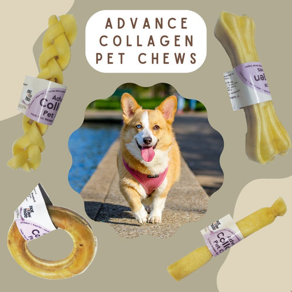 Collagen Dog Chew Bone | Natural, Grass-Fed | Long-Lasting Treat for Dental, Joint & Bone Health | High Protein