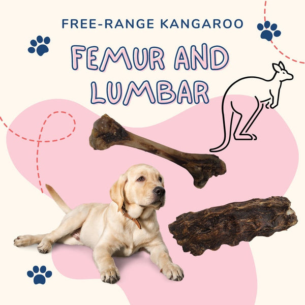 Free-Range Kangaroo Dog Treats – Australian Femur & Lumbar Chews | Single Ingredient, Grain-Free, Low Fat, High Protein