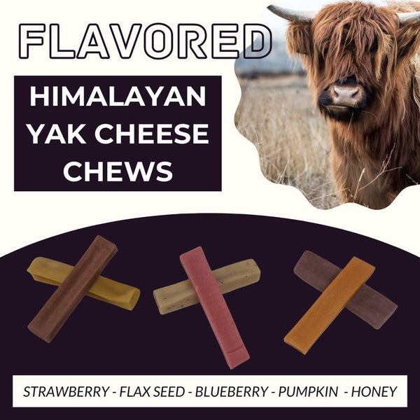Flavored Yak Cheese Dog Chews – Himalayan Style, Long Lasting, Natural Treats with Superfoods | Pumpkin, Blueberry, Honey & More