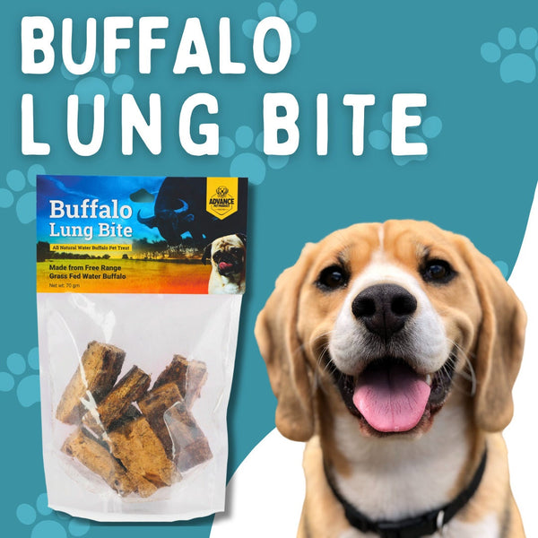 Water Buffalo Lung Bites!!!