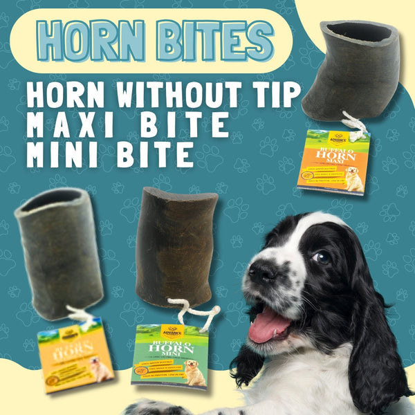 Water Buffalo Horn Bites! Variety of Sizes and Styles!